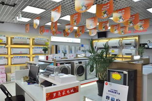 價格低到你高興 羅店大型家電城工廠內(nèi)購會,百余家電品牌同時參加