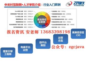 中關(guān)村互聯(lián)網(wǎng)營銷與大數(shù)據(jù)培訓 Java技術(shù)賦能與“先就業(yè)后付款”模式解析